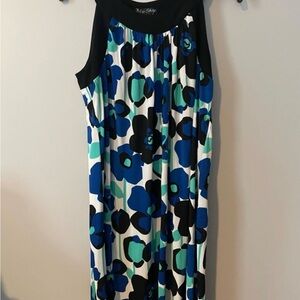 Blu Sage Brand Floral Sleeveless Dress Size Large  Made in USA